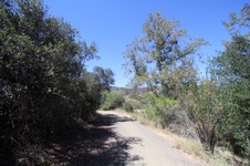 Enlarge photo 14