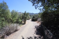 Enlarge photo 15