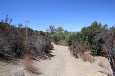 Enlarge photo 18