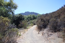 Enlarge photo 19