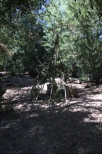 Enlarge photo 30