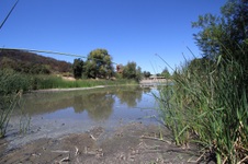 Enlarge photo 32