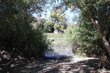 Enlarge photo 33