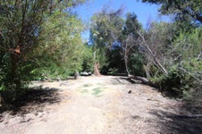 Enlarge photo 35
