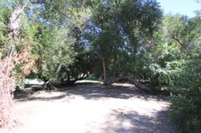 Enlarge photo 37