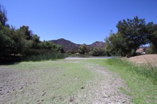 Enlarge photo 40