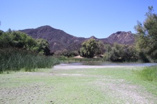 Enlarge photo 41