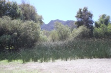 Enlarge photo 43