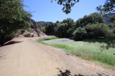 Enlarge photo 52