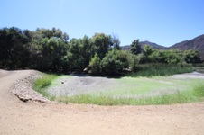 Enlarge photo 53