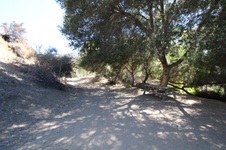 Enlarge photo 56