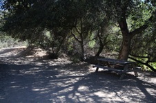 Enlarge photo 57