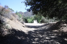 Enlarge photo 59