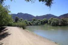 Enlarge photo 62