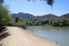 Enlarge photo 63