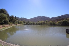Enlarge photo 70