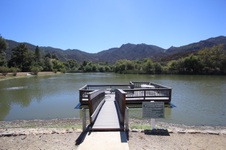 Enlarge photo 71