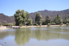 Enlarge photo 77