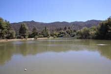 Enlarge photo 78