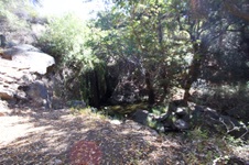 Enlarge photo 4