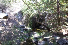 Enlarge photo 6