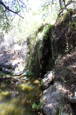 Enlarge photo 12