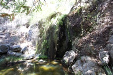 Enlarge photo 13