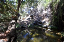 Enlarge photo 14