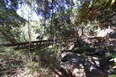 Enlarge photo 15