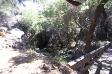 Enlarge photo 24