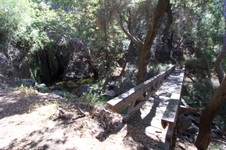 Enlarge photo 25