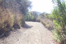 Enlarge photo 30