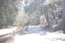 Enlarge photo 31