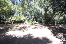Enlarge photo 35