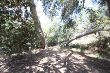 Enlarge photo 36
