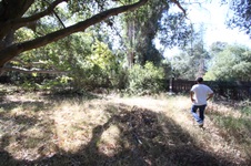 Enlarge photo 38