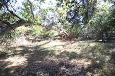 Enlarge photo 39