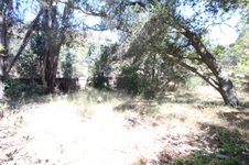 Enlarge photo 40