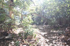 Enlarge photo 41