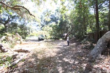 Enlarge photo 42