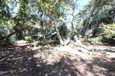 Enlarge photo 43