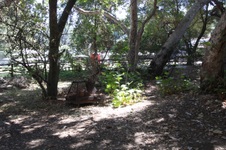 Enlarge photo 44