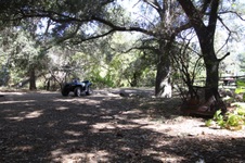 Enlarge photo 45