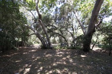 Enlarge photo 46
