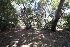 Enlarge photo 47