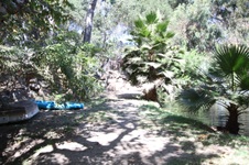 Enlarge photo 49