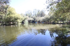 Enlarge photo 50
