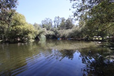 Enlarge photo 51