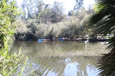 Enlarge photo 52