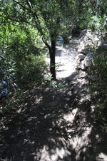 Enlarge photo 53